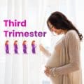 "3rd trimester", "third trimester"